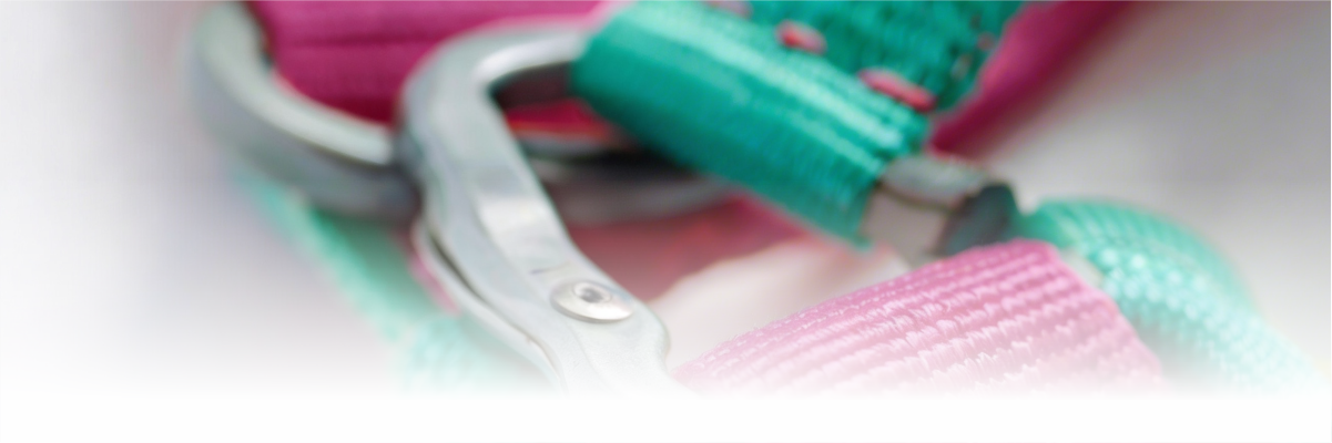 Geonia empresa de trabajos en altura